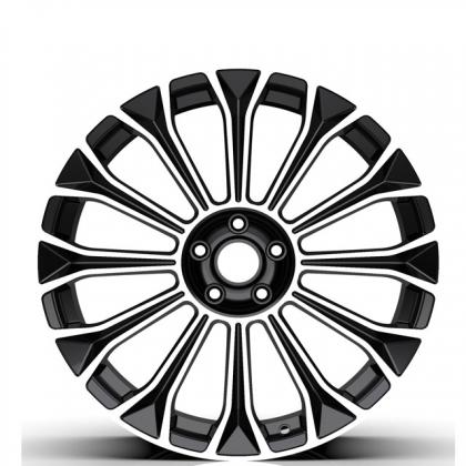 Multiple spoke aluminum alloy forged wheel rim